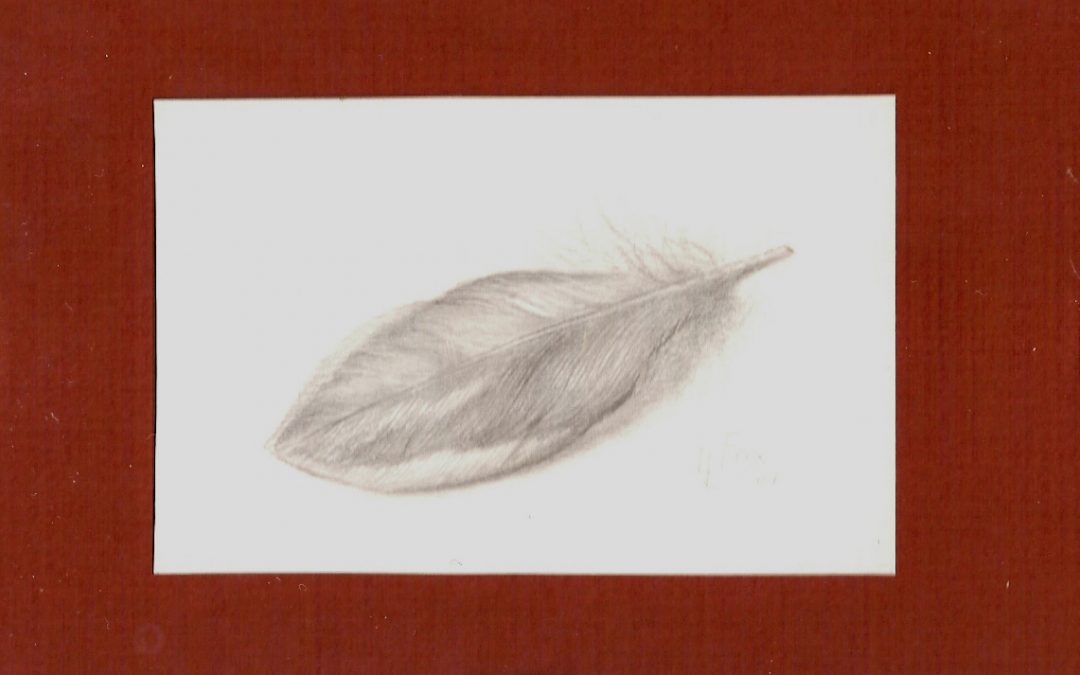 Silverpoint Feather