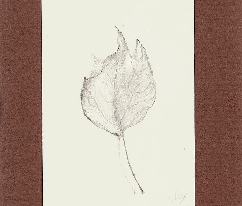 Silverpoint Leaf